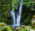 Streaming cascade water in green forest